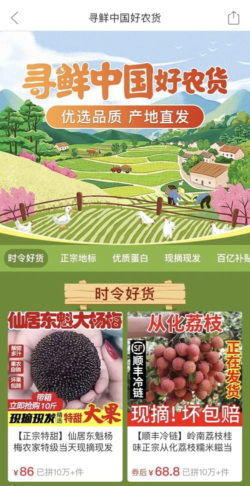 楊梅60元一顆出口迪拜背后 農業(yè)技術創(chuàng)新的力量