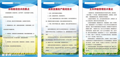 農作物栽培管理技術設計圖及其在農業(yè)技術研究中的應用